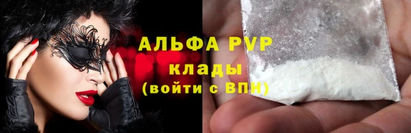 прущие крисы Белокуриха