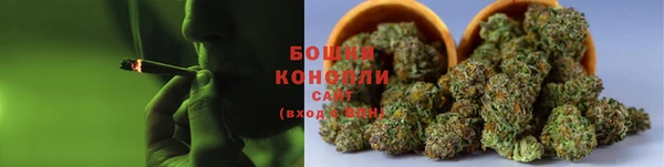 прущие крисы Белокуриха