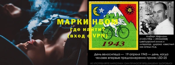 прущие крисы Белокуриха