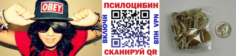 Галлюциногенные грибы прущие грибы  блэк спрут зеркало  Бокситогорск 